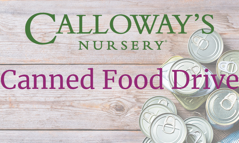 Calloway’s Canned Food Drive