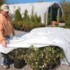 N-Sulate Frost Protection Blanket