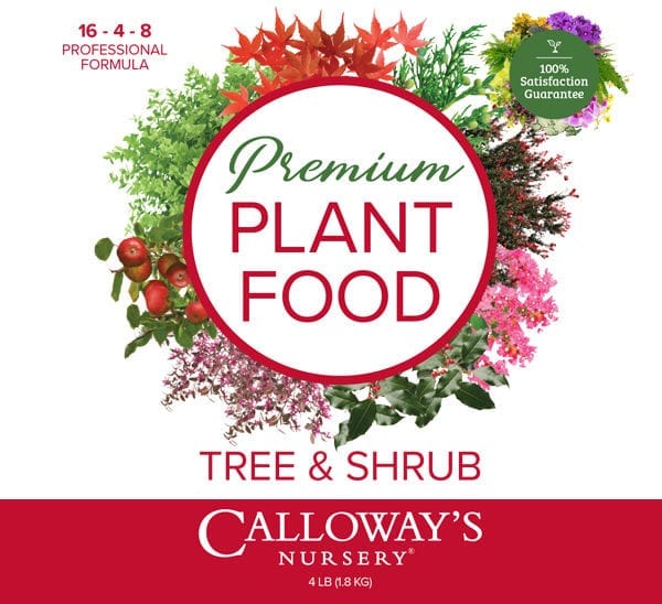 plant food tree and shrub