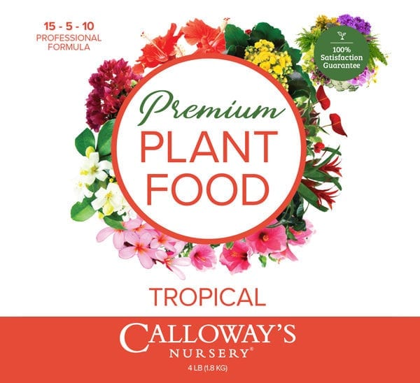 plant food tropical