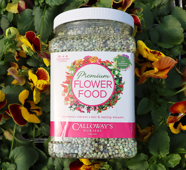 Link to Calloway’s Premium Flower Food product page