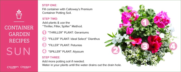 sun container garden recipe