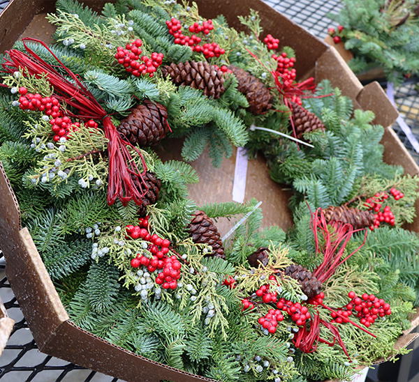 Link to Fresh Christmas Greenery  product page